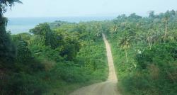 Main road on Rabi Island